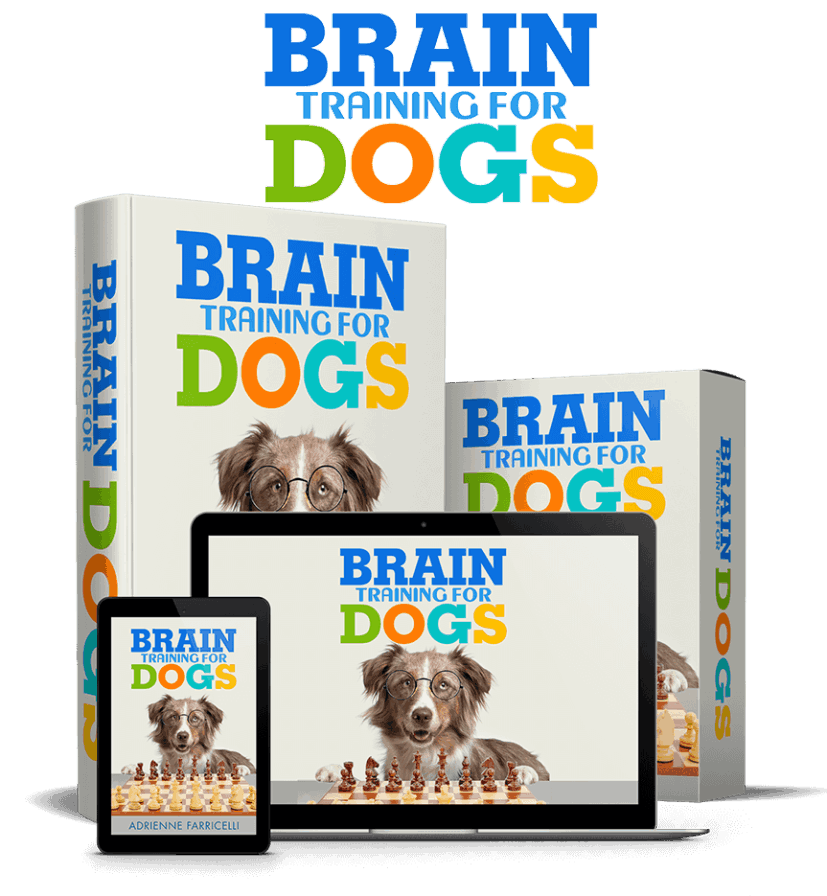 Brain Training for Dogs complete program materials